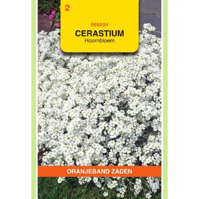 OBZ Cerastium, Hoornbloem, wit