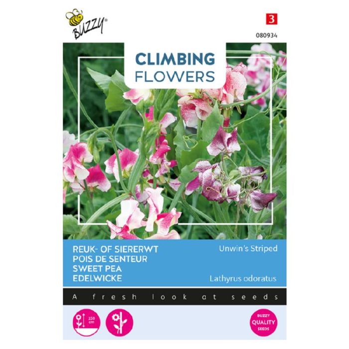 Buzzy® Climbing Flowers, Reuk- of siererwt, Lathyrus Unwin's Striped