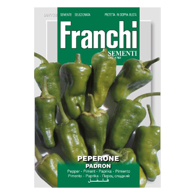 Franchi Sementi Peper Padron - Peperone 97/38