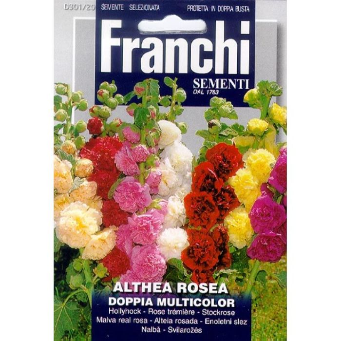 Franchi Stokroos - Althea Rosea Doppia multicolor 301/20