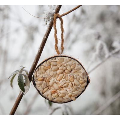 Bûten Food Halve kokosnoot pinda in de boom