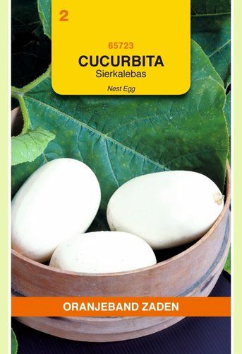 OBZ Cucurbita Sierkalebas Nest Egg