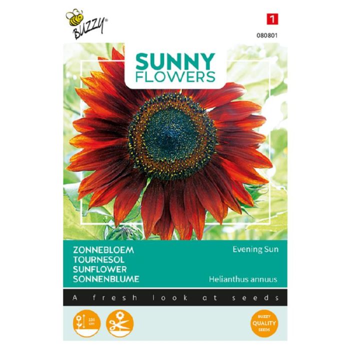 Buzzy® Sunny Flowers, Zonnebloem Avondzon