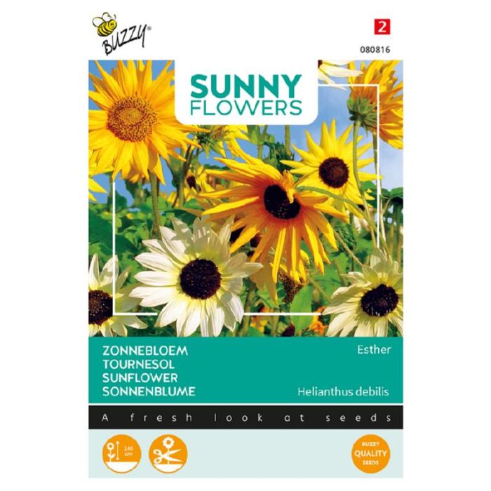 Buzzy® Sunny Flowers, Zonnebloem Esther