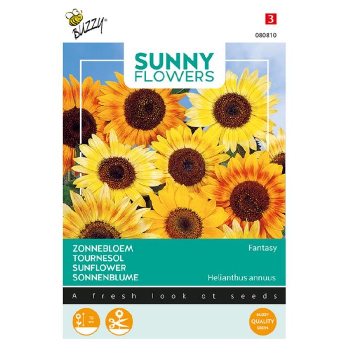 Buzzy® Sunny Flowers, Zonnebloem Fantasy