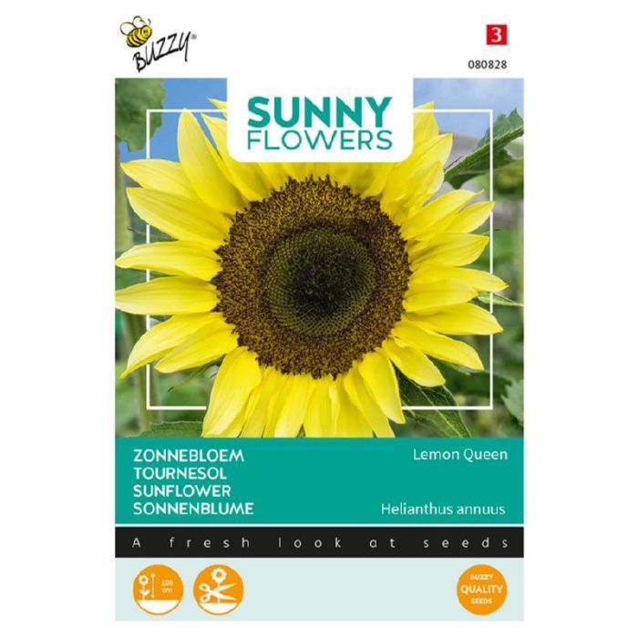 Buzzy® Sunny Flowers, Zonnebloem Lemon Queen