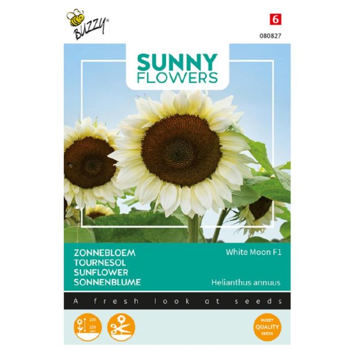 Buzzy® Sunny Flowers, Zonnebloem White Moon F1