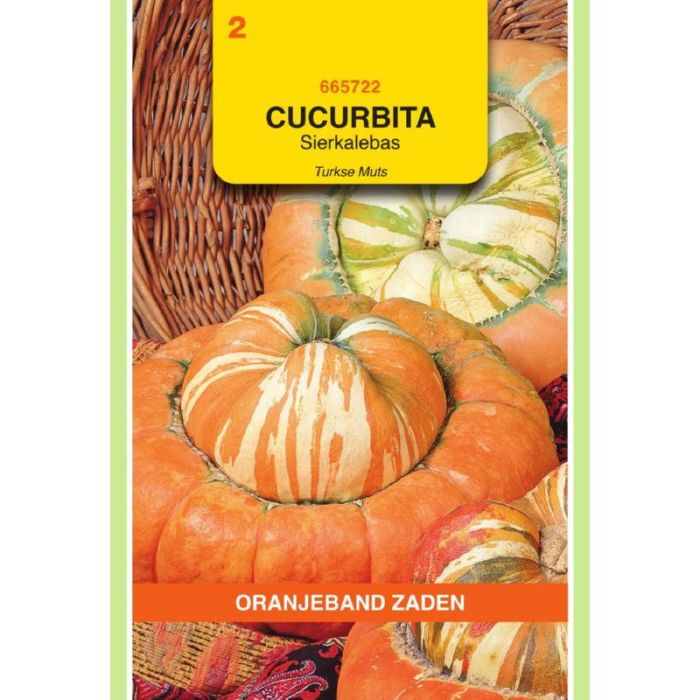 OBZ Cucurbita, Sierkalebas Turkse Muts