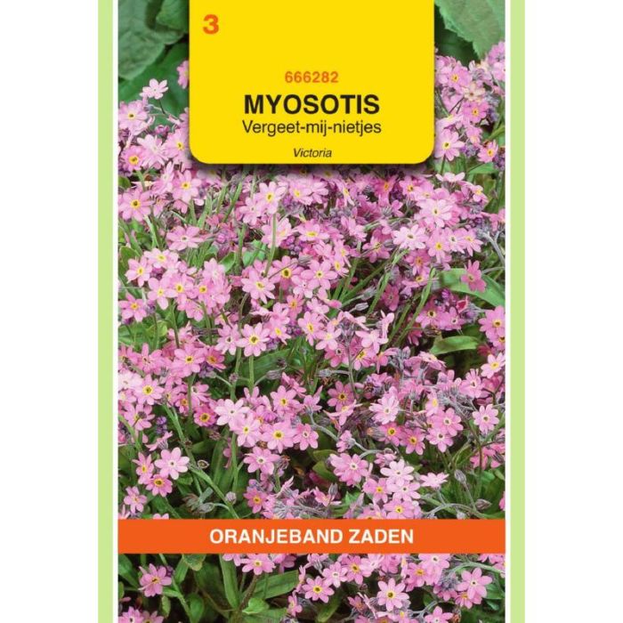 OBZ Myosotis, Vergeet-mij-niet Victoria, roze