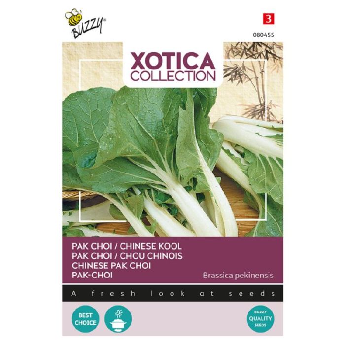 Buzzy® Xotica Pak choi Chinese kool