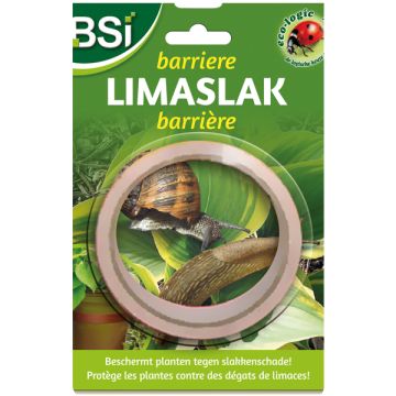 BSI Limaslak