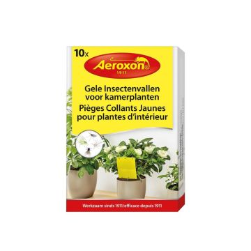 BSI Aeroxon Gele Insectenvallen voor kamerplanten