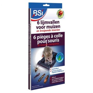 BSI Lijmvallen | 6 stuks