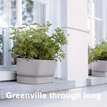 Elho greenville trough long 50 cm